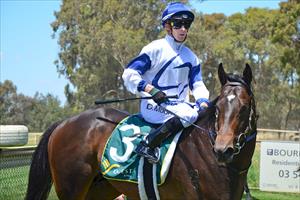 Lightly raced Go Public ready for Valley test